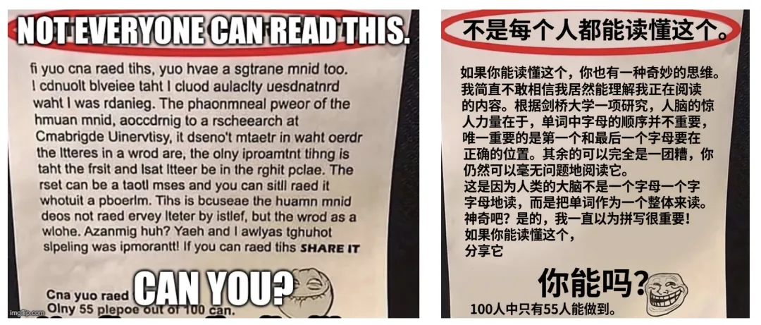 数字内容本地化（漫画/梗图） 示例图